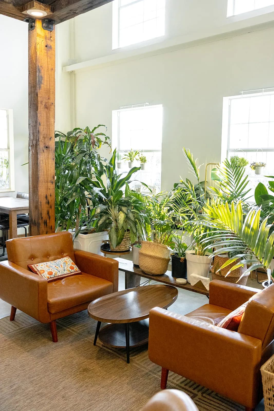 Manna Bakery interior with cognac leather chairs and abundant greenery beneath tall windows