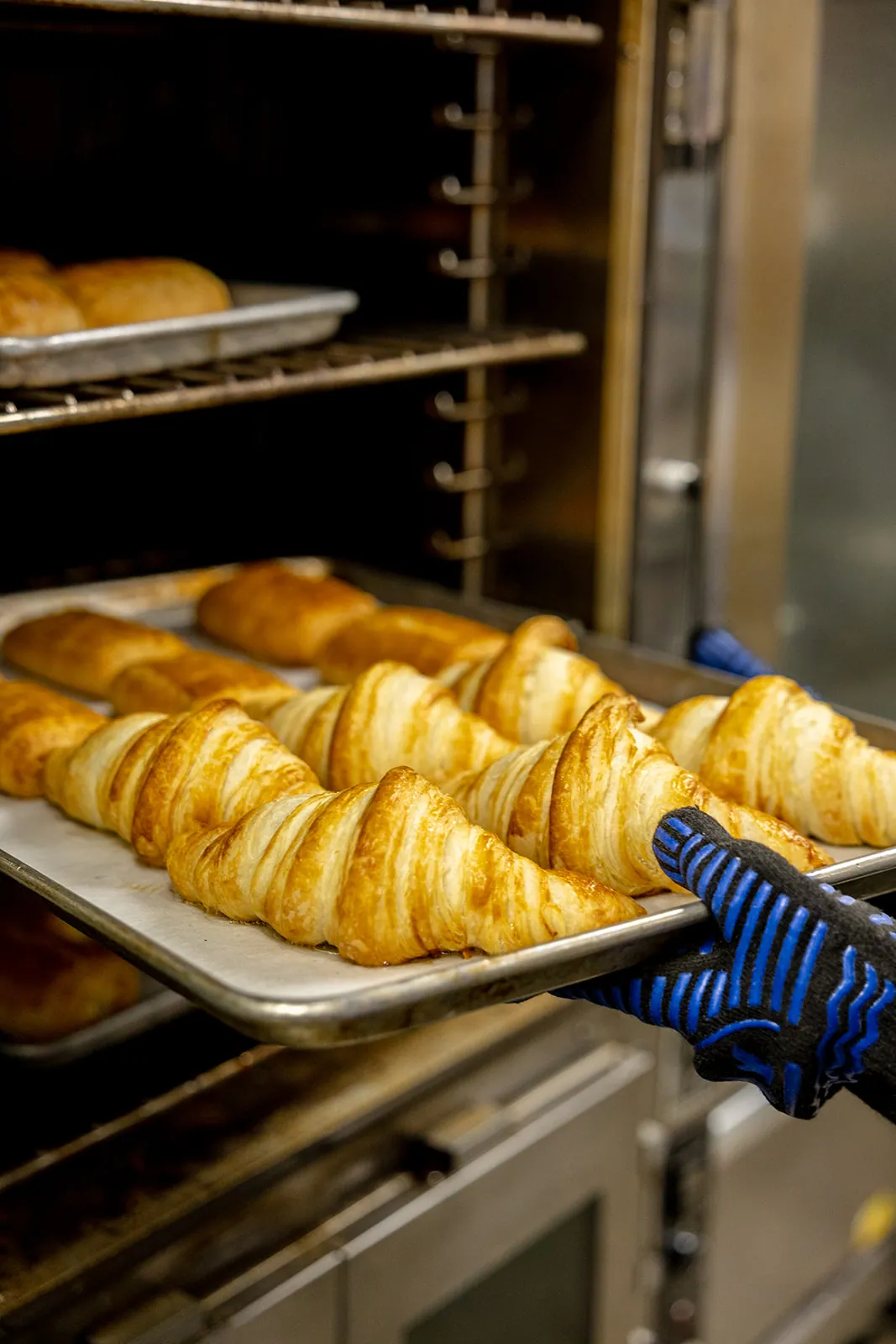 Trays of golden croissants cooling in Manna Bakery